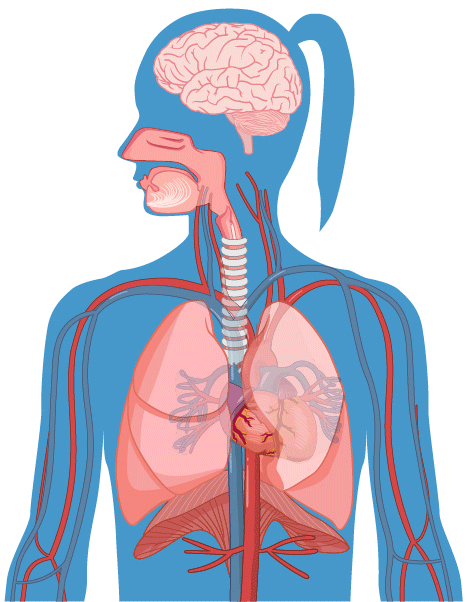 breathing