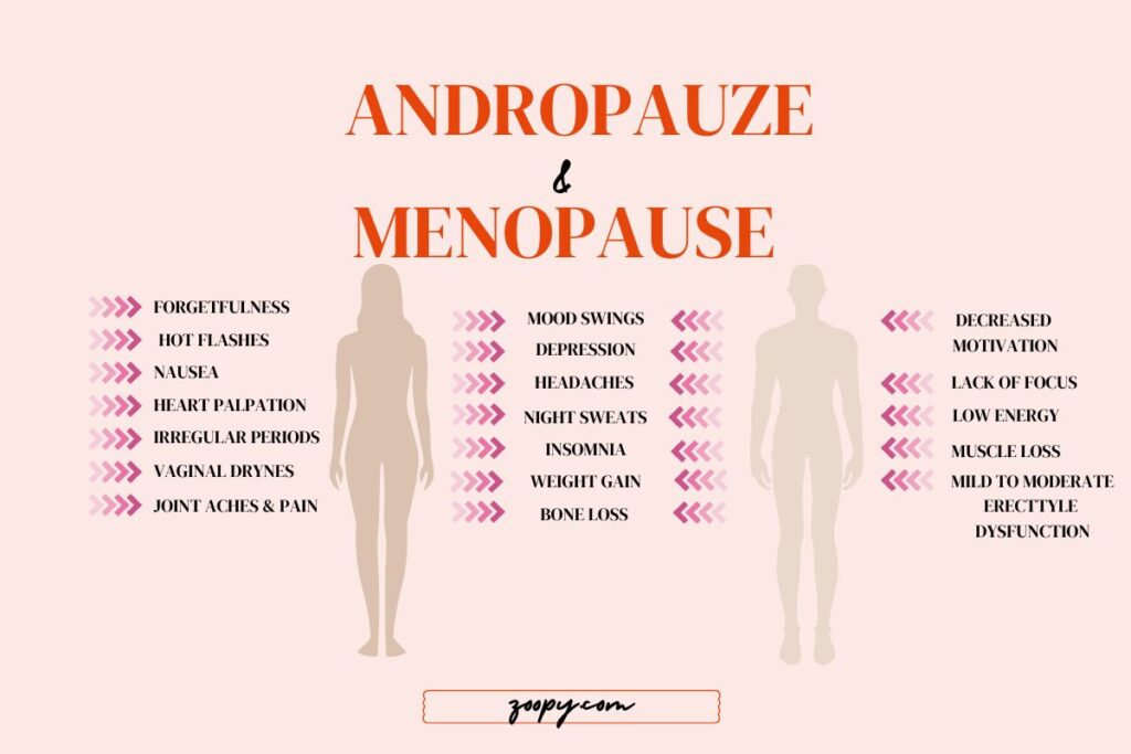andropause and menopause