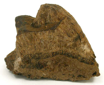 Asphaltum