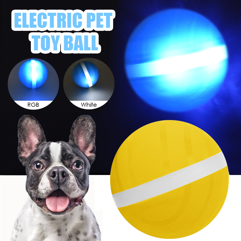 dog ball