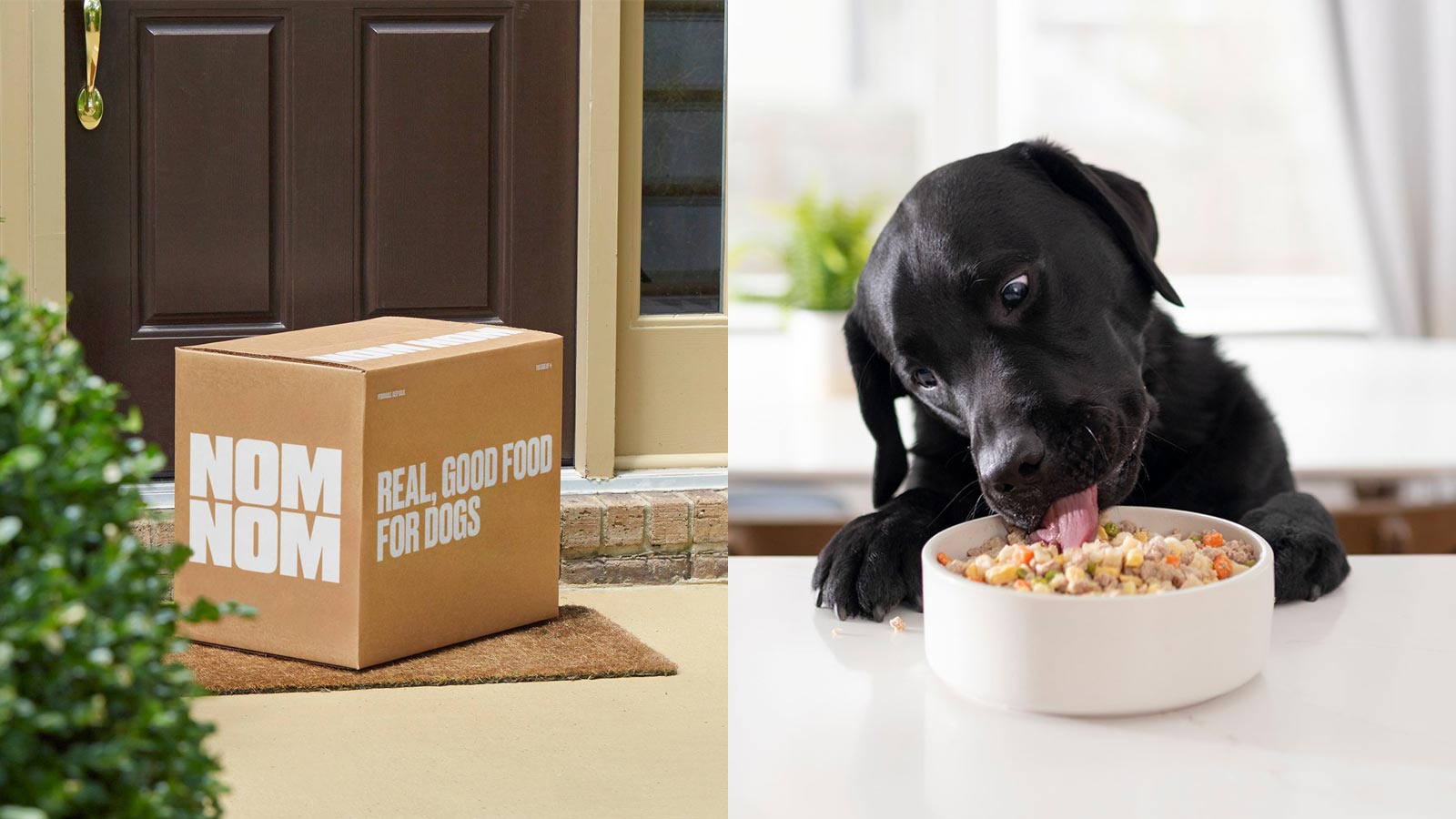 best dog food delivery service