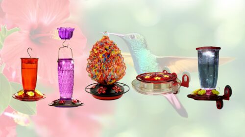 The Best Hummingbird Feeder for 2026
