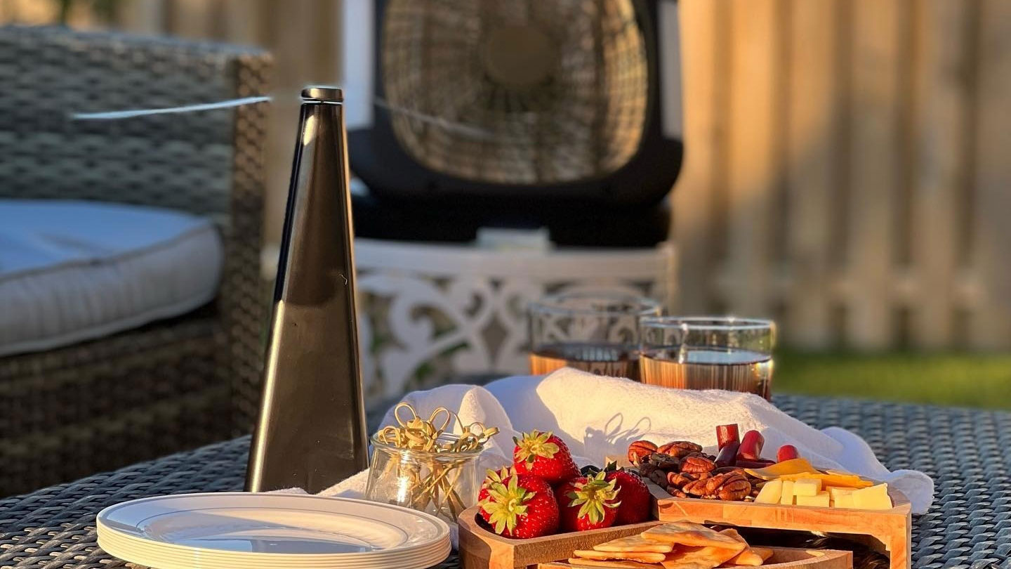 best outdoor fan for mosquitoes