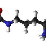 L-Citrulline Malate