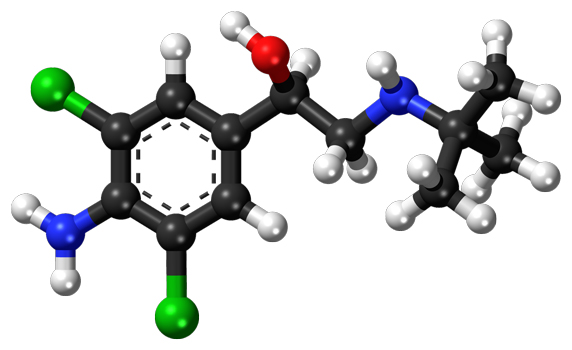 Clenbuterol  history