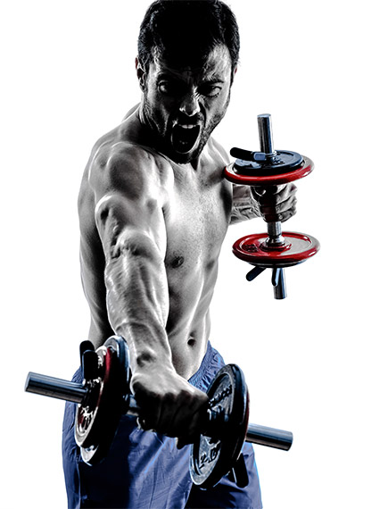 Testosterone Math