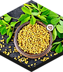 fenugreek testosil