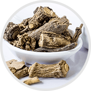 sarsaparilla