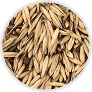 wild-oat-straw